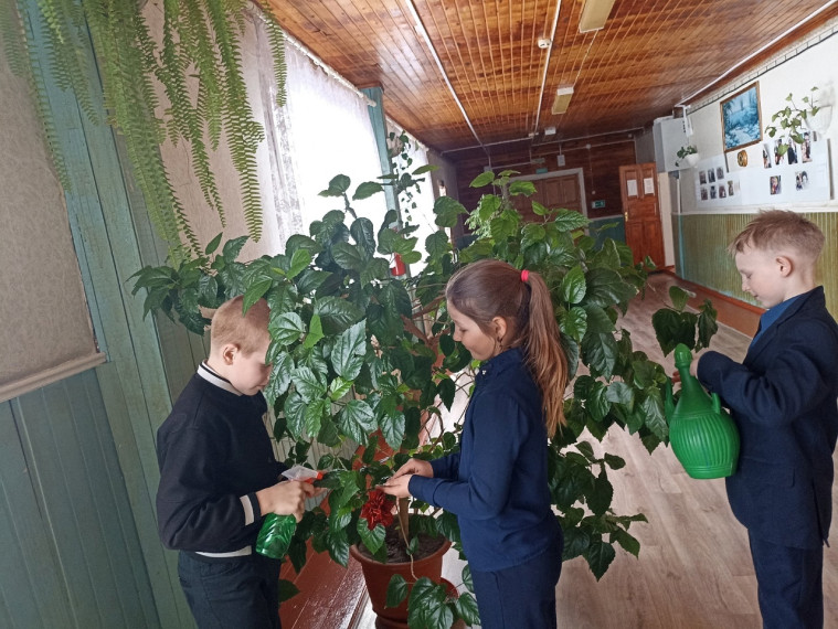 Трек "Орленок-эколог".